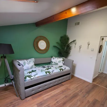 Garden , Ponta Delgada