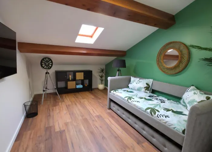 Garden , 게스트하우스 Ponta Delgada