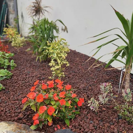Garden ,